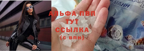 гидра Няндома