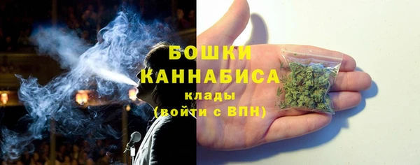 гидра Няндома