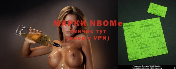 гидра Няндома