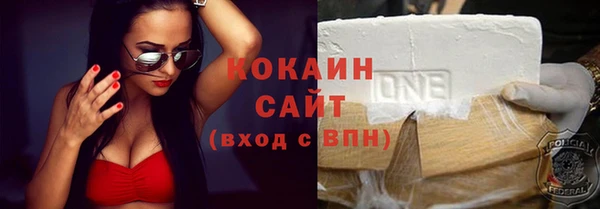 гидра Няндома