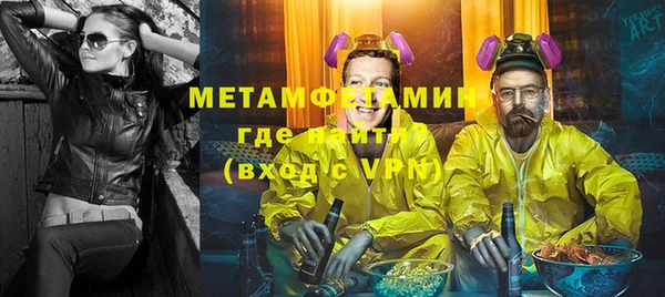 гидра Няндома
