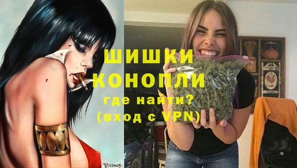 гидра Няндома
