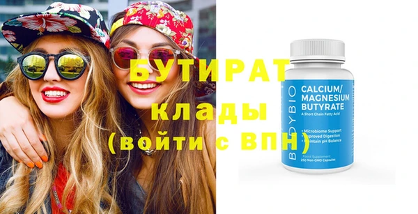 гидра Няндома