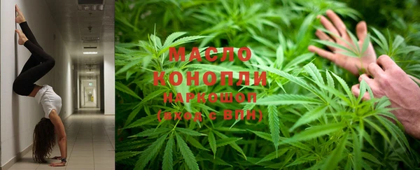 гидра Няндома